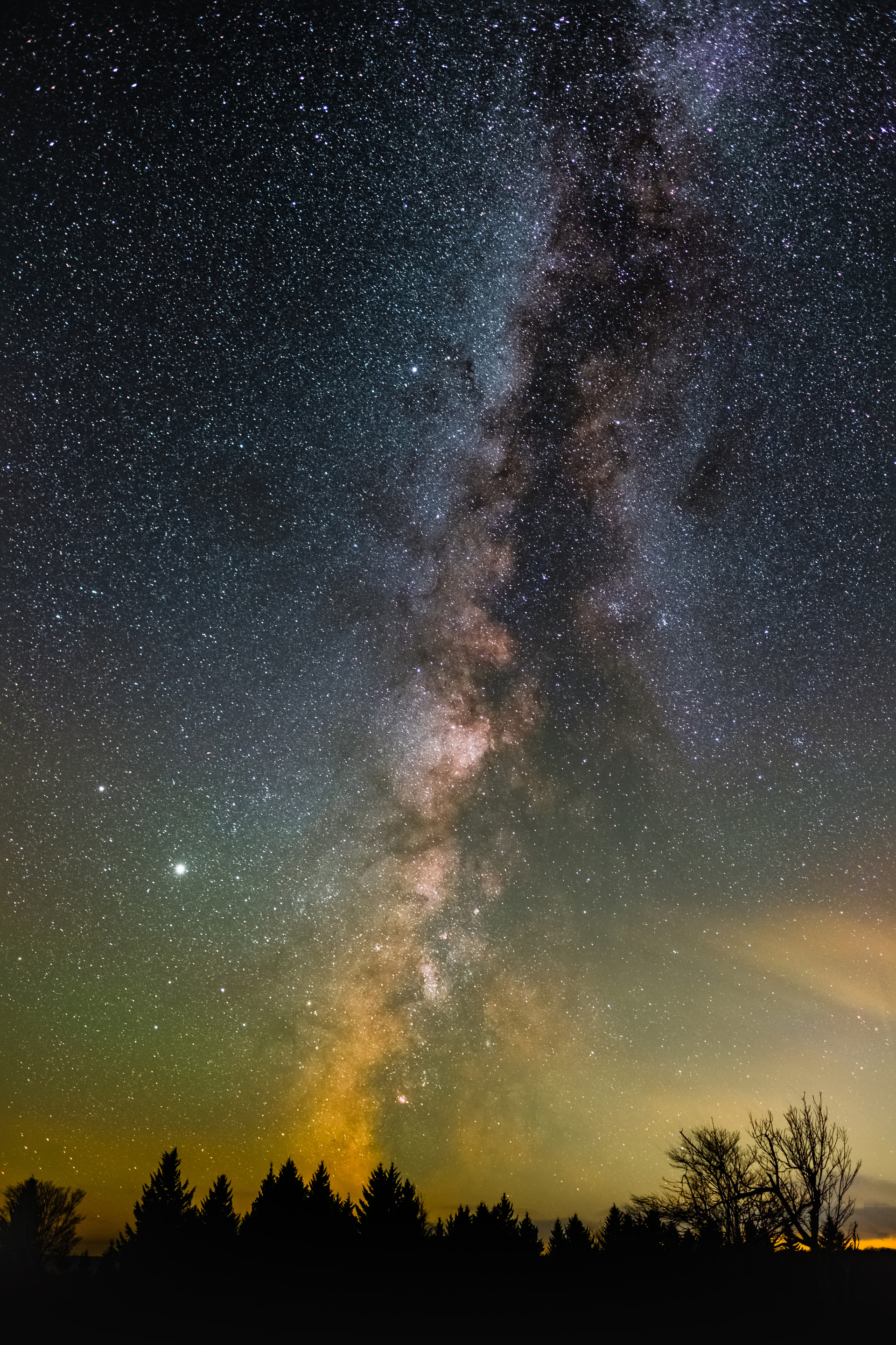 The summer Milky Way rising over a dark, silhouetted treeline
