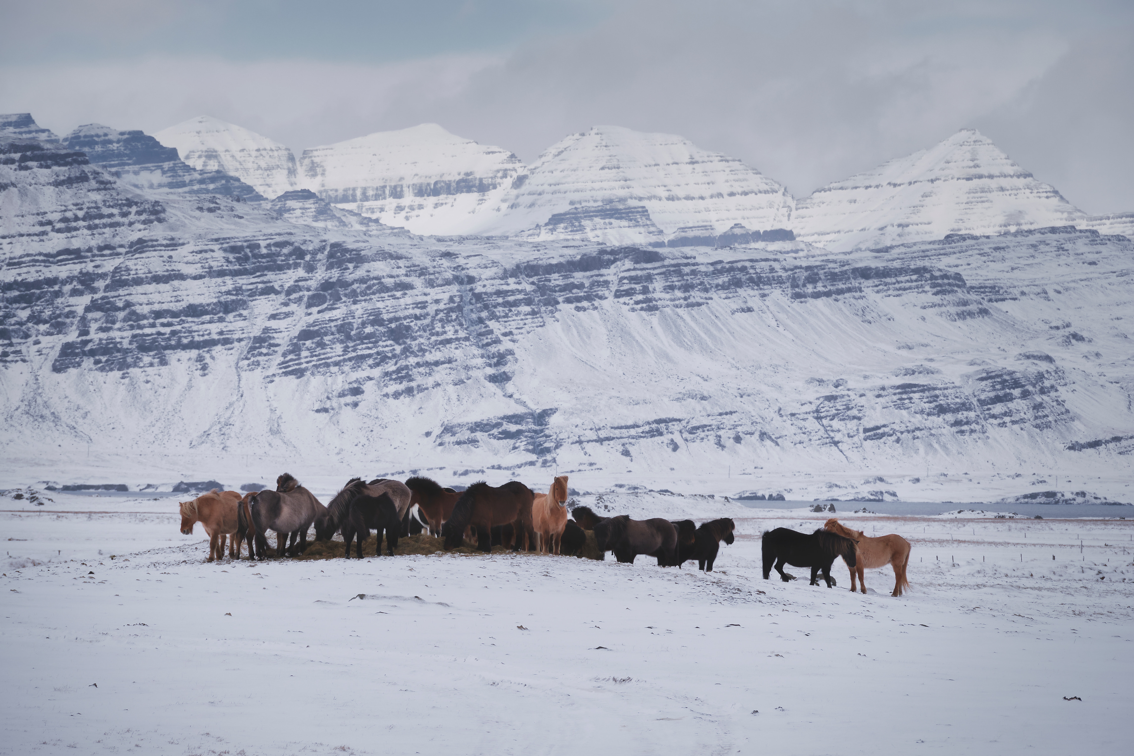 iceland — 2022-03-16