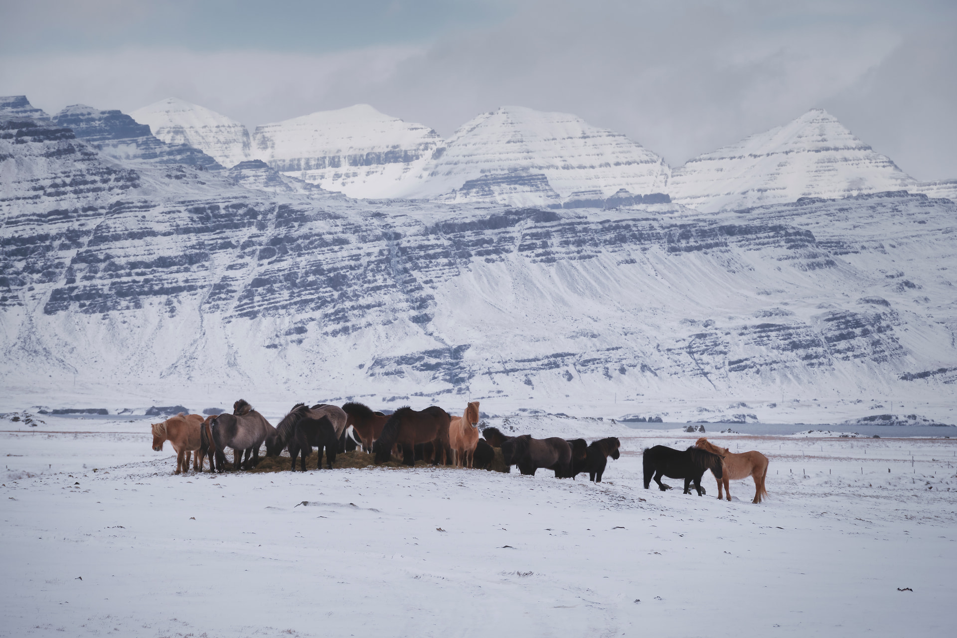 iceland — 2022-03-16