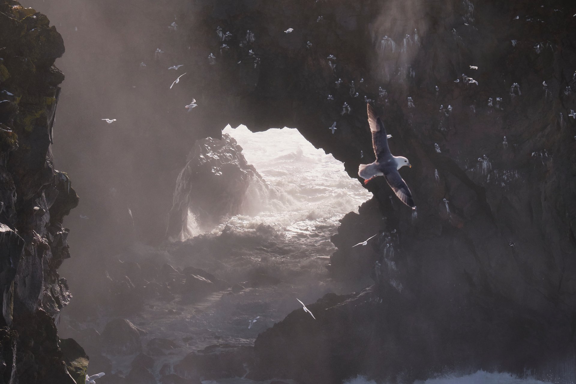 iceland — 2022-03-18