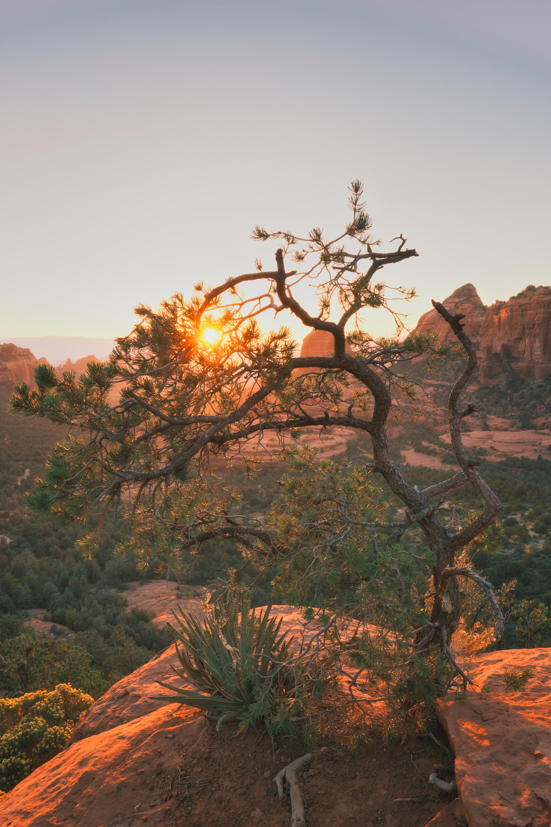 southwest — 2023-10-21
