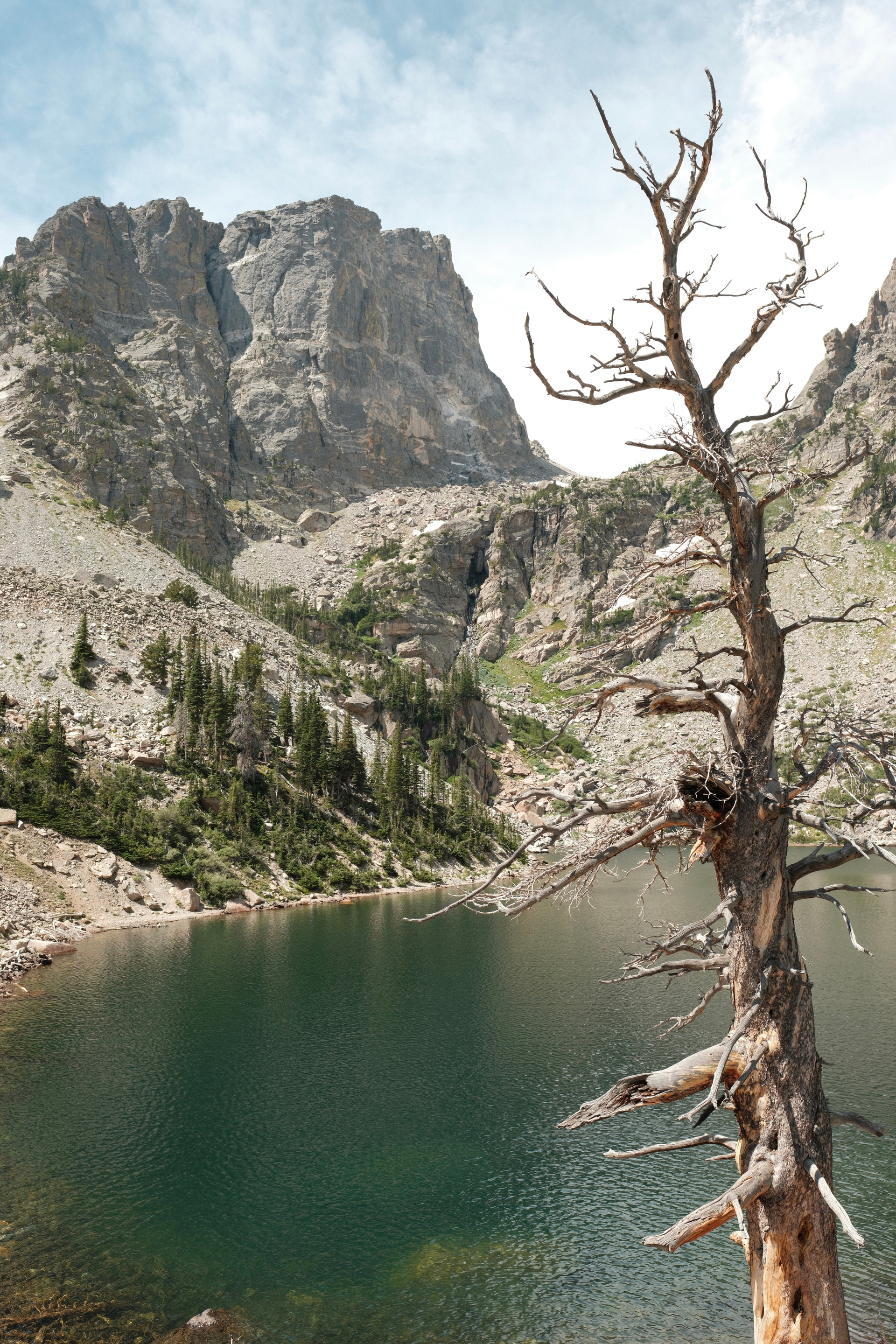 A weathered dead tree leaning over an alpine lake below a steep granite face