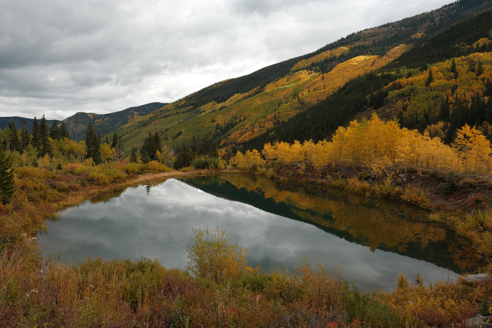 A still pond mirroring an overcast sky, framed by golden autumn aspens